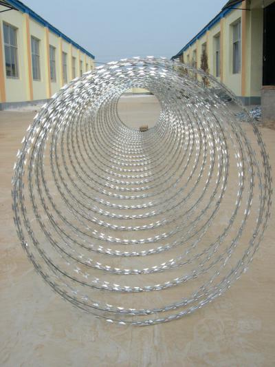 阿拉爾市刀片刺絲